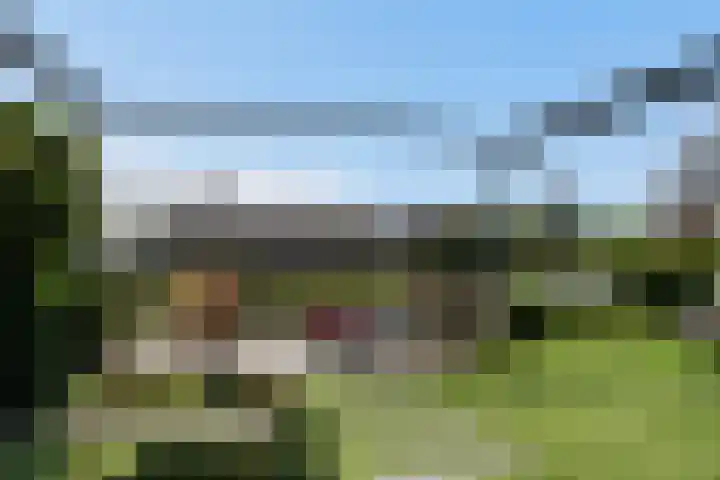 Dagpauwoog 42 's-Gravenzande thumbnail 19