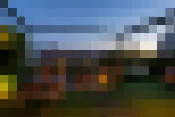 Dagpauwoog 42 's-Gravenzande thumbnail 20