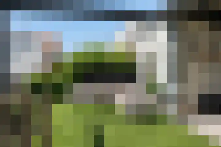 Dagpauwoog 42 's-Gravenzande thumbnail 21