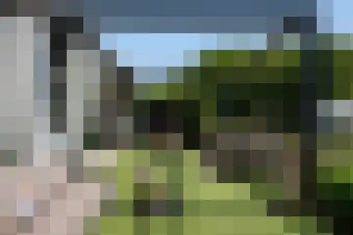 Dagpauwoog 42 's-Gravenzande thumbnail 23