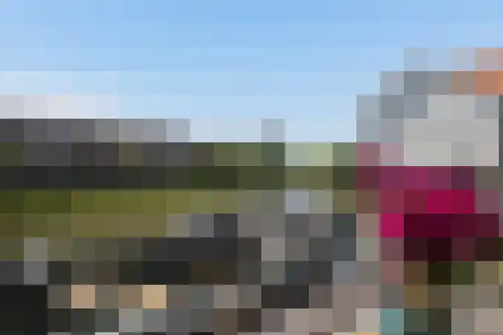 Dagpauwoog 42 's-Gravenzande thumbnail 24