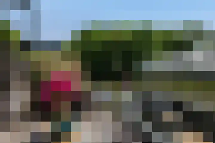 Dagpauwoog 42 's-Gravenzande thumbnail 25
