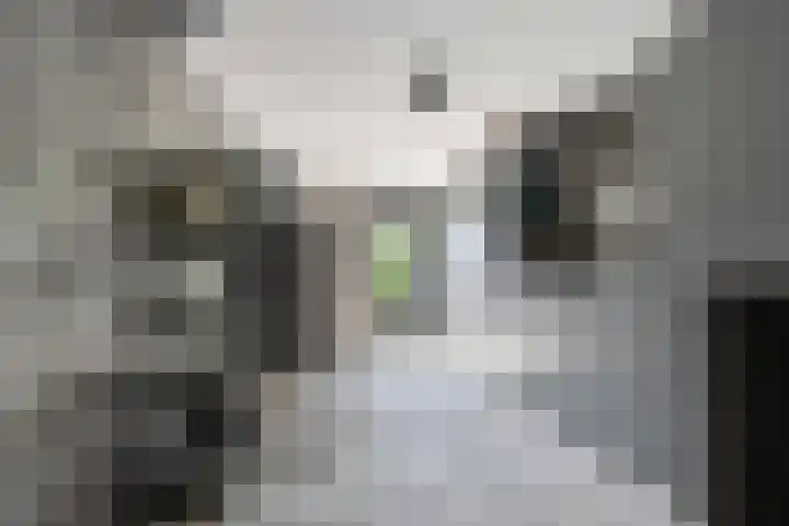Dagpauwoog 42 's-Gravenzande thumbnail 29