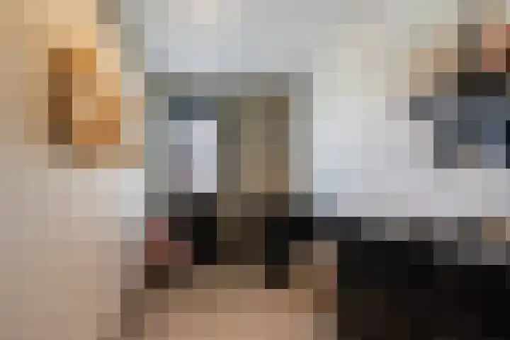Dagpauwoog 42 's-Gravenzande thumbnail 42