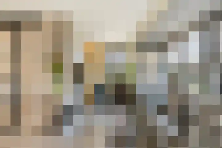 Dagpauwoog 42 's-Gravenzande thumbnail 5