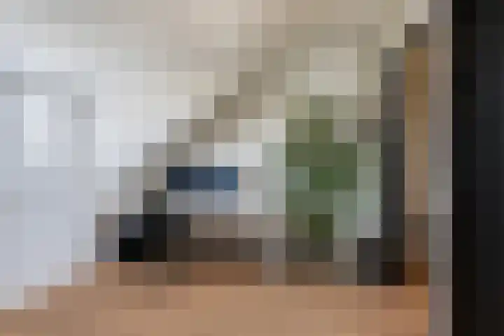 Dagpauwoog 42 's-Gravenzande thumbnail 50
