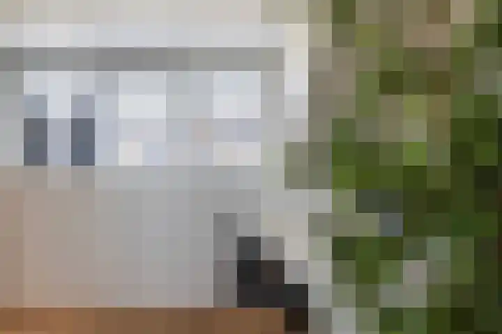 Dagpauwoog 42 's-Gravenzande thumbnail 51