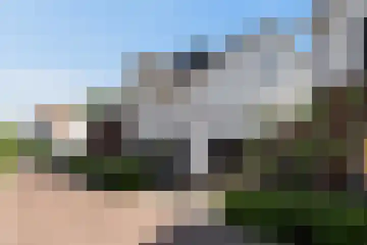 Dagpauwoog 42 's-Gravenzande thumbnail 54