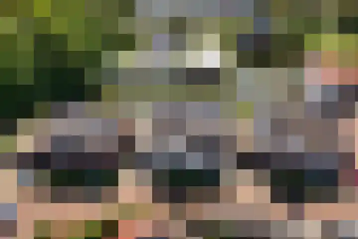 Dagpauwoog 42 's-Gravenzande thumbnail 55