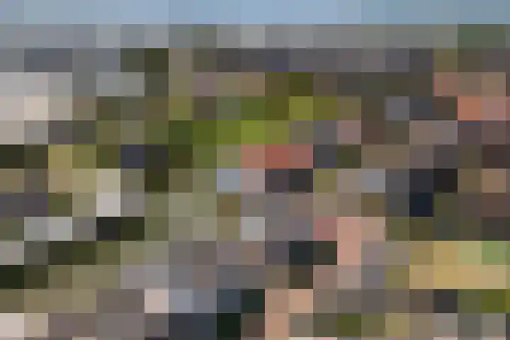 Dagpauwoog 42 's-Gravenzande thumbnail 56