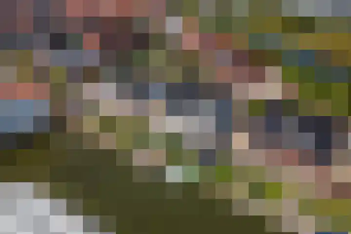 Dagpauwoog 42 's-Gravenzande thumbnail 57