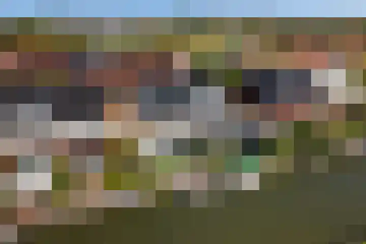 Dagpauwoog 42 's-Gravenzande thumbnail 58