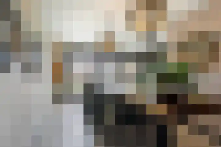 Dagpauwoog 42 's-Gravenzande thumbnail 9