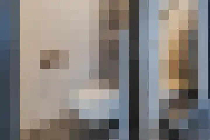 Dagpauwoog 42 Wolvega thumbnail 10