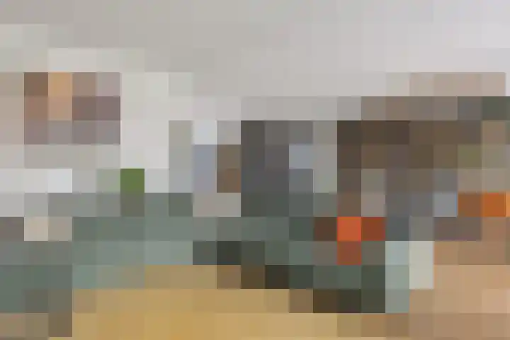 Dagpauwoog 42 Wolvega thumbnail 18