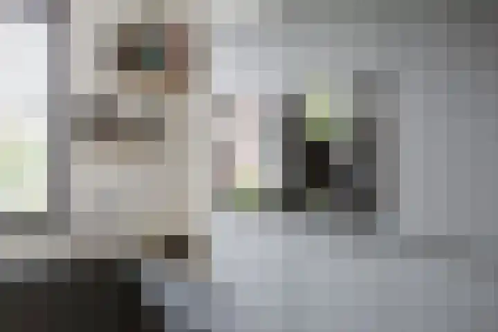 Dagpauwoog 42 Wolvega thumbnail 22