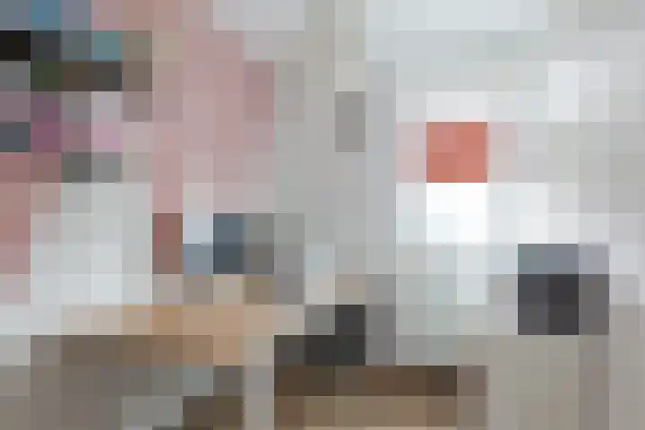 Dagpauwoog 42 Wolvega thumbnail 33