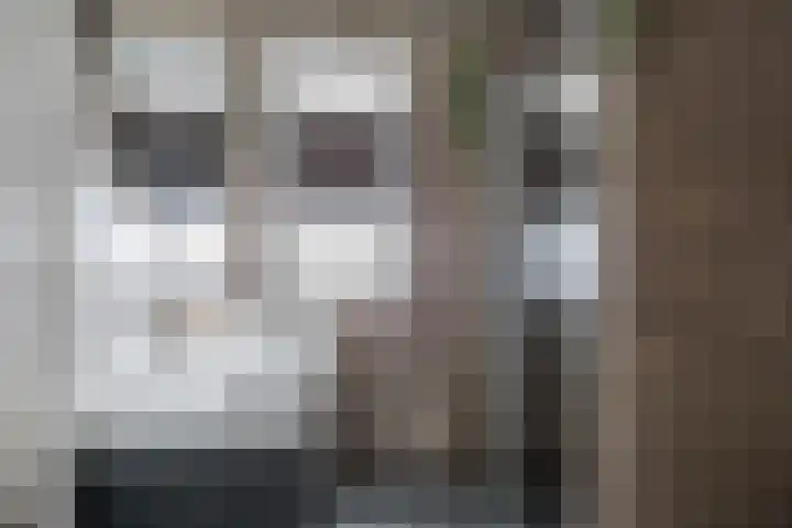 Dagpauwoog 42 Wolvega thumbnail 35