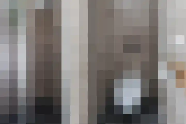 Dagpauwoog 42 Wolvega thumbnail 36