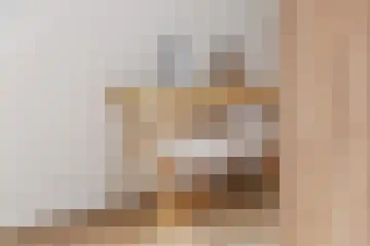 Dagpauwoog 42 Wolvega thumbnail 39
