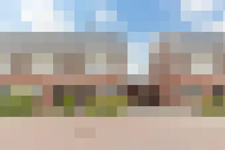 Dagpauwoog 42 Wolvega thumbnail 4
