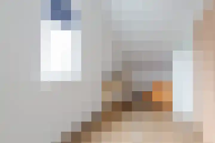 Dagpauwoog 42 Wolvega thumbnail 40