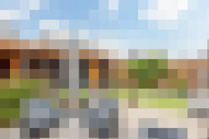 Dagpauwoog 42 Wolvega thumbnail 42