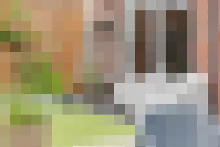 Dagpauwoog 42 Wolvega thumbnail 43