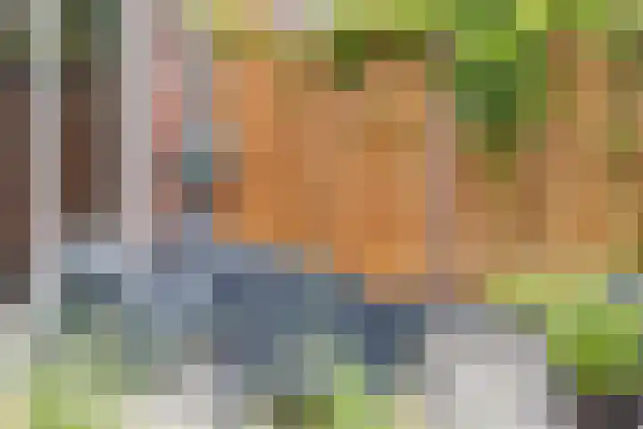Dagpauwoog 42 Wolvega thumbnail 44