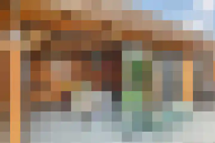 Dagpauwoog 42 Wolvega thumbnail 45