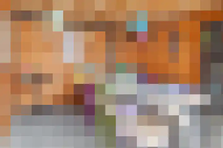 Dagpauwoog 42 Wolvega thumbnail 47
