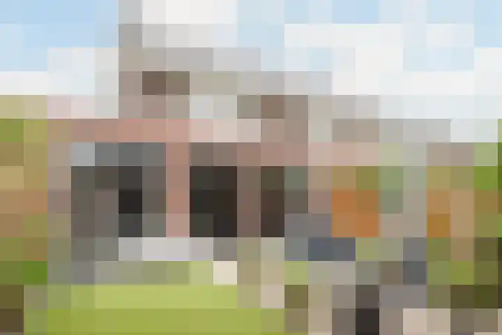 Dagpauwoog 42 Wolvega thumbnail 50