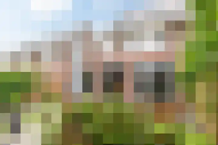 Dagpauwoog 42 Wolvega thumbnail 52
