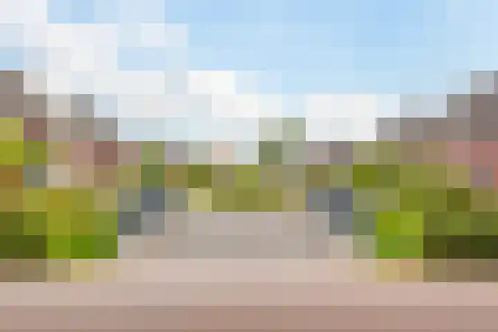 Dagpauwoog 42 Wolvega thumbnail 54