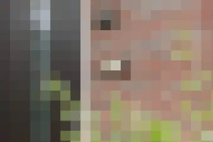Dagpauwoog 42 Wolvega thumbnail 6