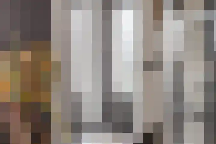 Dagpauwoog 42 Wolvega thumbnail 8