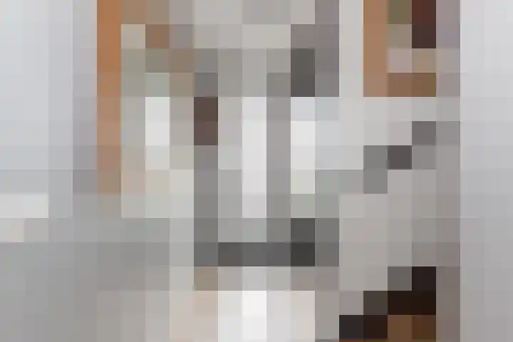 Dagpauwoog 42 Wolvega thumbnail 9