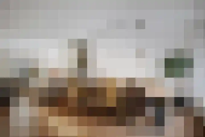 Dagpauwoog 44 Deventer thumbnail 11