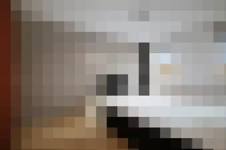 Dagpauwoog 44 Deventer thumbnail 15