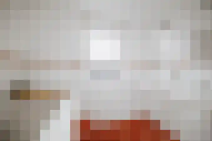 Dagpauwoog 44 Deventer thumbnail 18