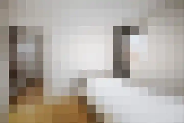 Dagpauwoog 44 Deventer thumbnail 21