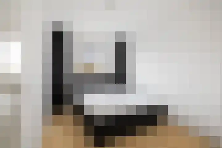 Dagpauwoog 44 Deventer thumbnail 22