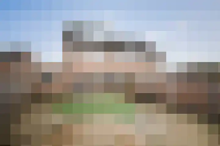 Dagpauwoog 44 Deventer thumbnail 28