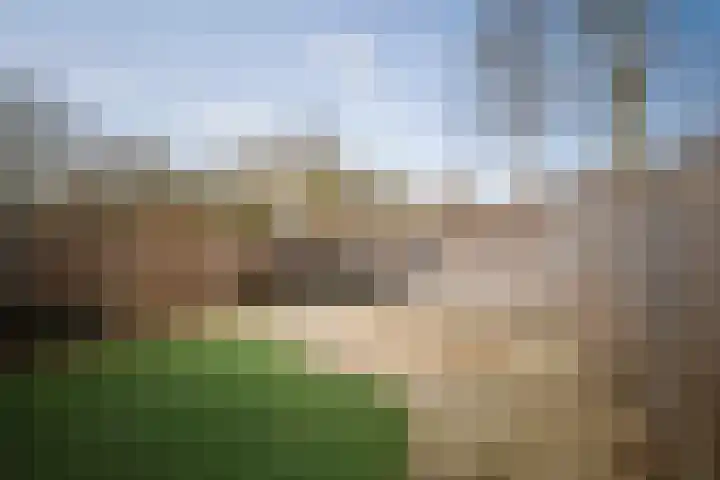 Dagpauwoog 44 Deventer thumbnail 30