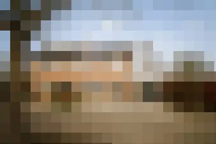 Dagpauwoog 44 Deventer thumbnail 31
