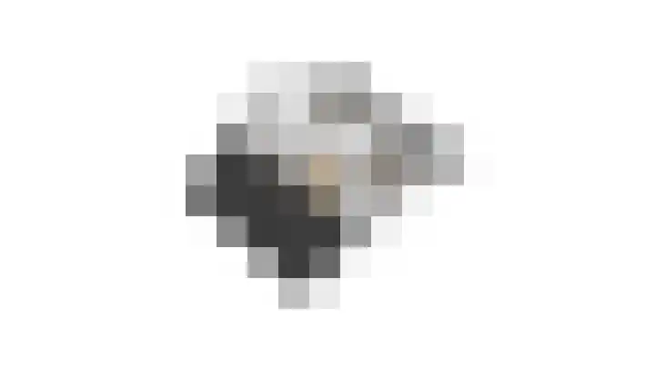 Dagpauwoog 44 Deventer thumbnail 39