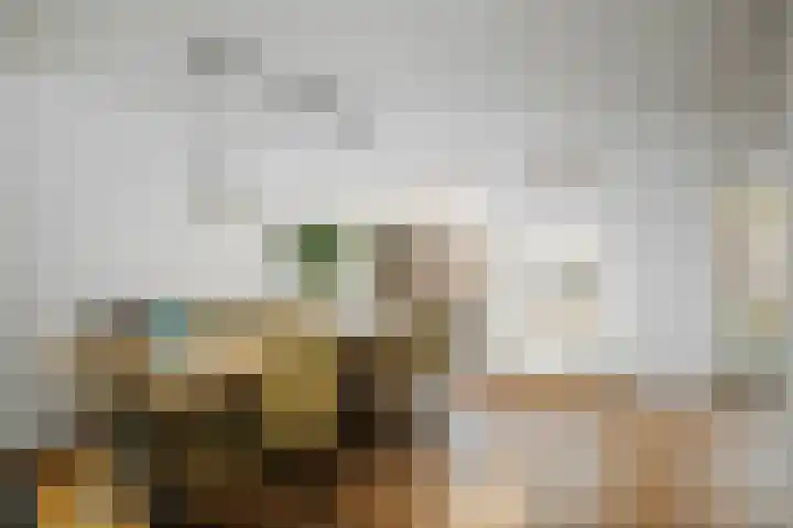 Dagpauwoog 44 Deventer thumbnail 6