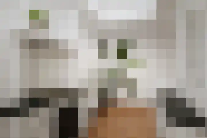 Dagpauwoog 44 Deventer thumbnail 8