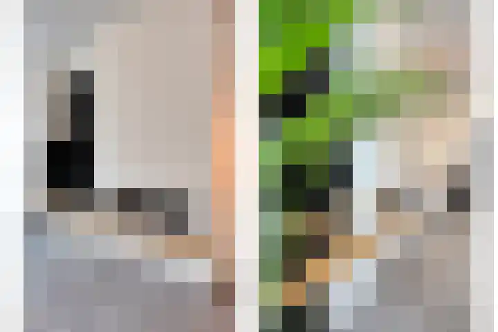 Dagpauwoog 5 Oosterhout thumbnail 10