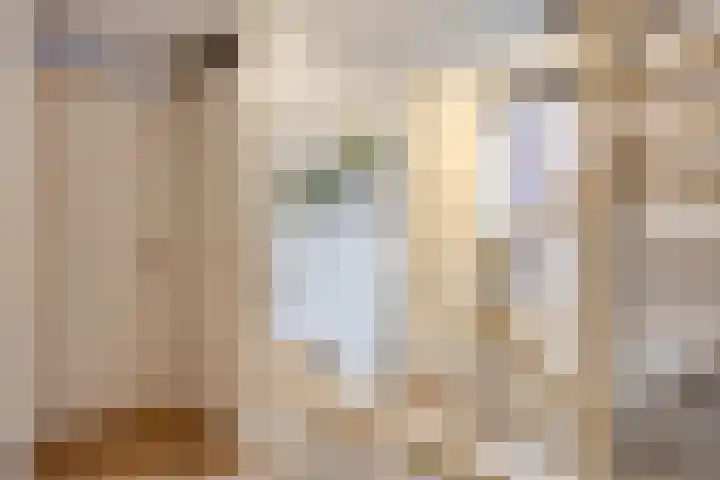 Dagpauwoog 5 Oosterhout thumbnail 14
